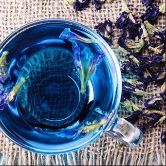 Palo azul: cómo consumir la planta que alivia la artrosis y cuida los riñones