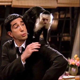 Día del animal en el streaming: seis series con una mascota como protagonista, de "Friends" a "Alf", pasando por "Modern Family"
