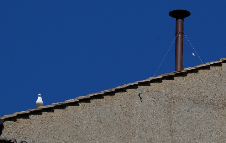 El techo de la Capilla Sixtina .Foto: EFE