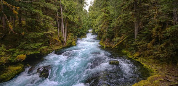 El lugar con el agua más mortal del mundo: nadie ha logrado salir con vida