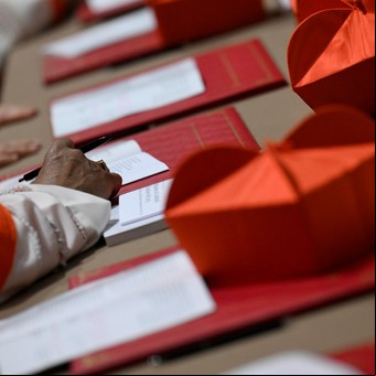Cónclave 2025: las movidas de la vieja guardia del Vaticano para dejar atrás el legado de Francisco