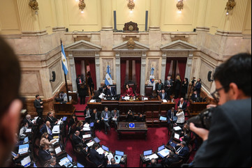 Polémica en el Senado con los ascensos militares: apuntan a una "doble vara" y a la tensión entre Petri y Villarruel 