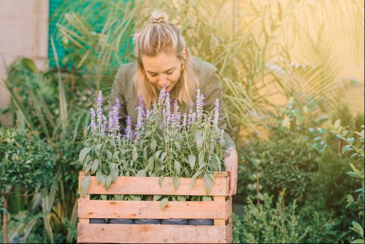 La lavanda refleja calma, sensibilidad y conexión espiritual, ideal para los nacidos en febrero. Foto:Freepik.