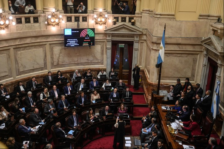 Por un voto, el Senado rechazó Ficha Limpia. Foto Federico Lopez Claro