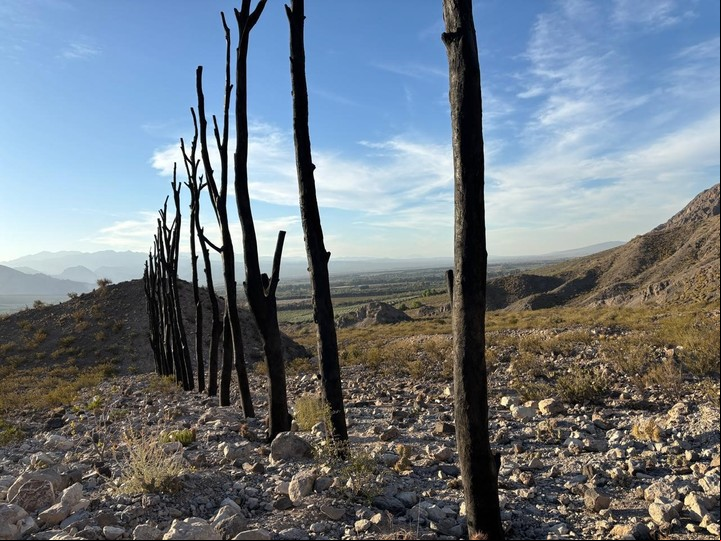 En proceso. La obra de Mariana Tellería en el valle de San Juan. (gentileza Ruth Benzacar)