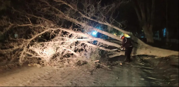 Fuerte temporal de viento y lluvias derribó árboles y cortó rutas en Neuquén: además la nieve complican el tránsito en la cordillera