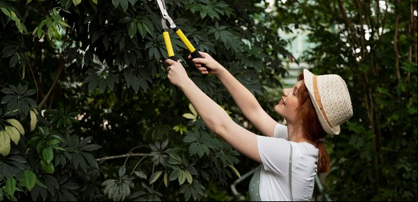 El truco de poda en otoño que transforma tu jazmín y garantiza una floración intensa y perfumada en primavera