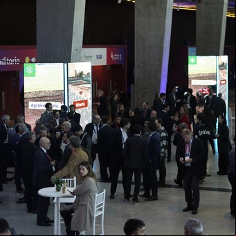 Por los pasillos de Amcham: CEOs que se consideran ágiles pero se marean, un paper para Caputo y otras perlitas