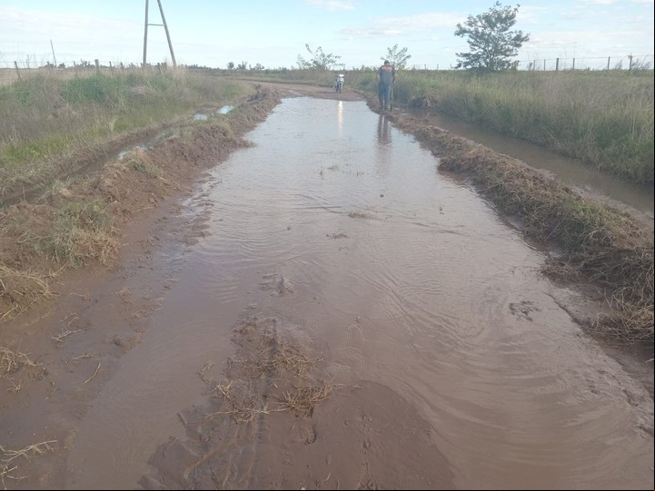 Uno de los caminos rurales en 9 de julio que usan los alumnos para ir en moto.